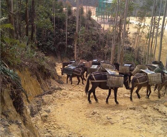 湖北马帮山路运输