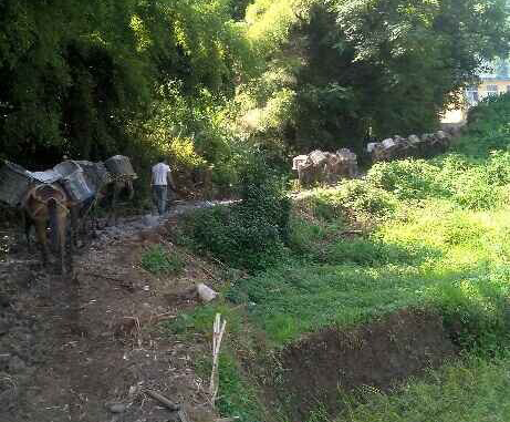 湖北马帮运输队