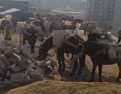 湖北马队山路运输