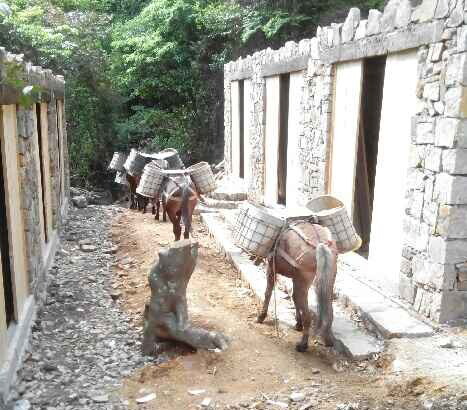 湖北马队运输队