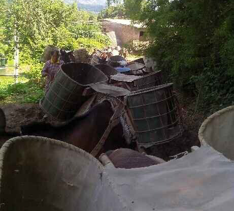 湖北骡马运输队