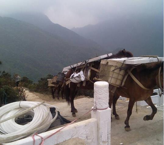 湖北山区马帮运输